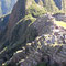 Machu Picchu, 16.07.2011, Agrarterrassen West