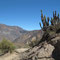 3 Tages Trip, Colca Canon, 2 Tag