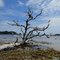 Isla Bastimentos