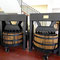 Mendoza, Weintour