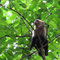 Nationalpark Manuel Antonio