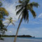 Isla Bastimentos