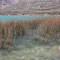 Tagestour nach Llanganuco Lakes 4000 M.ü.M