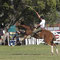 Gaucho Festival, Chascomus