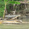 Fahrt nach Puerto Viejo