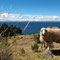 Taquile Island, Lake Titicaca