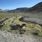Altiplano