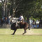 Gaucho Festival, Chascomus
