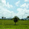 Las Juntas, Fahrt nach Monteverde