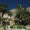 3 Tages Trip, Colca Canon, 2 Tag, Ankunft Oase (Sangalle)