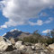Lazy Dog Inn Area