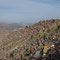 La Paz