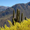 3 Tages Trip, Colca Canon