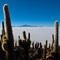 Tag 1, Salar de Uyuni, 10.08.2011