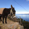 Isla del Sol, Lake Titicaca