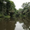 Kanufahrt Tortuguero Nationalpark