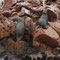 Islas Ballestas