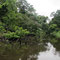 Kanufahrt Tortuguero Nationalpark