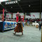 Cholita Wrestlin La Paz,31.07.2011