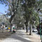 Salta