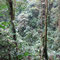 Santa Elena Cloud Forest,Monteverde