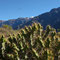 3 Tages Trip, Colca Canon, Cruz del Condor