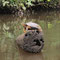 Tortuguero, Nationalpark, Kanufahrt