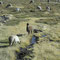 Altiplano
