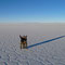 Tag 1, Salar de Uyuni, 10.08.2011