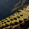 Machu Picchu, 16.07.2011, Agrarterrassen