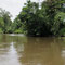 Fahrt nach Tortuguero