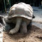 Zoo