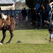 Gaucho Festival, Chascomus