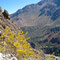 3 Tages Trip, Colca Canon
