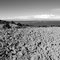 Isla del Sol, Lake Titicaca