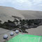 Buggy Trip