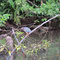 Tortuguero, Nationalpark, Kanufahrt