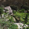 3 Tages Trip, Colca Canon, 2 Tag, Ankunft Oase (Sangalle)