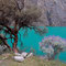 Tagestour nach Llanganuco Lakes 4000 M.ü.M