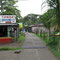 Tortuguero 5 Ave