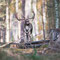 Schorfheide, Brandenburg 24.10.2015, Damhirsch 