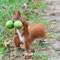 Lamsfeld,Brandenburg 25.09.2014, Eichhörnchen