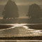 Niederspree, Sachsen 25.09.2015, Rothirsch 
