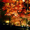 長瀞・紅葉・ライトアップ