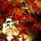 長瀞・紅葉・ライトアップ
