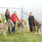 Familie Kochlöffel & Fam. Burkhardt (D) beim Eselwandern 11.2011