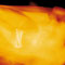 Tantos límites falsos. De la serie: Cuerpos Sensibles © Margarita Mejía, 2004