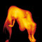 Libertad de escucharse. De la serie: Cuerpos Sensibles © Margarita Mejía, 2004
