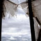 1. De la serie: Lo que aún persiste © Margarita Mejía, 2011