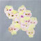 「violas」　2019／キャンバス、アクリル／10.0×10.0cm